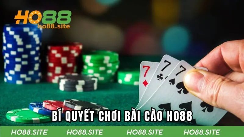Chiến lược chơi bài cào nhanh thắng từ chuyên gia 