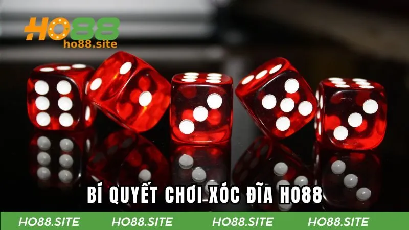 Bí quyết chơi xóc đĩa nhanh thắng và hiệu quả 