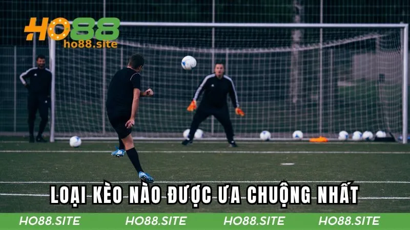 Hai loại kèo được cược thủ lựa chọn tham gia nhiều nhất