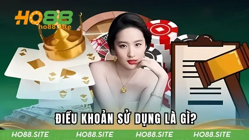 Điều khoản sử dụng là gì?
