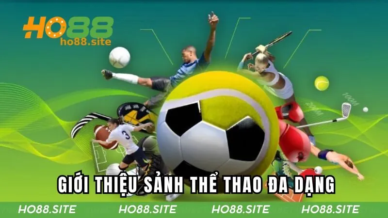 Cá cược thể thao đa dạng