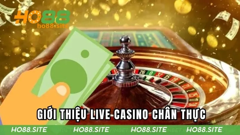 Sảnh live casino đầy chân thực