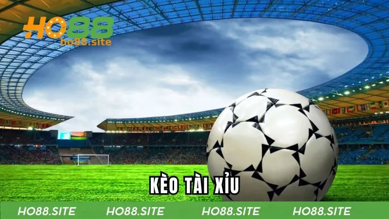 Kèo Tài Xỉu - Các Dạng Phổ Biến Và Mẹo Bắt Kèo Chuẩn Xác