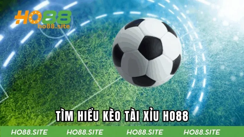 Tìm hiểu kèo tài xỉu tại HO88