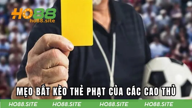 Mẹo bắt kèo thẻ phạt của các cao thủ