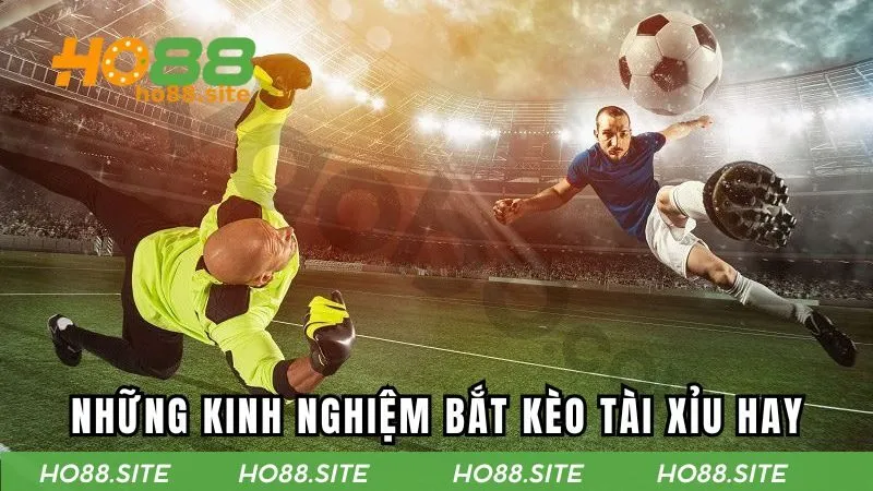 Tìm hiểu thông tin trận bóng là yếu tố cơ bản để bạn đưa ra quyết định cược