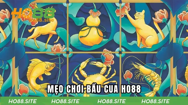 Mẹo chơi bầu cua HO88 giúp người chơi thắng lớn