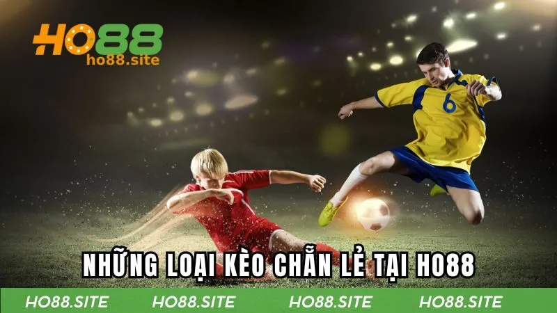 Các hình thức bắt cược chẵn lẻ đang phổ biến hiện nay