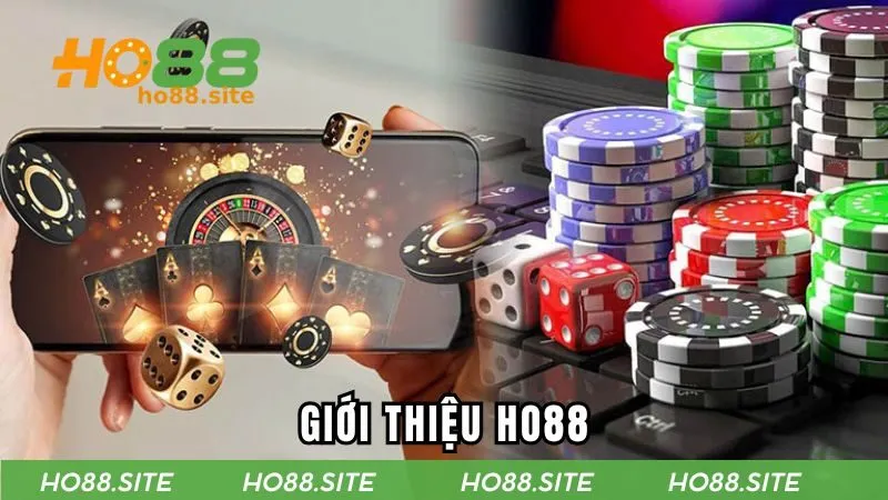 Những thông tin tổng quan về nhà cái HO88