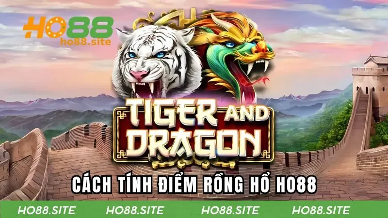 Cách tính điểm trong rồng hổ