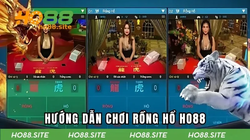 Hướng chơi rồng hổ tại HO88