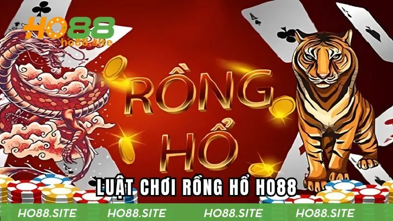 Luật chơi cơ bản tại HO88