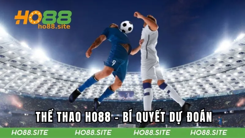 Thể Thao HO88 – Bí Quyết Dự Đoán Chính Xác Ngay Lần Đầu