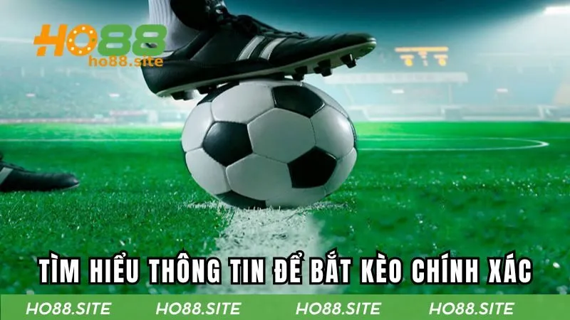 Chia sẻ những bí kíp bắt cược tài xỉu hay từ cao thủ