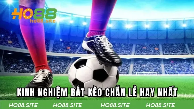 Chia sẻ những kinh nghiệm để dễ dàng chinh kèo chẵn lẻ