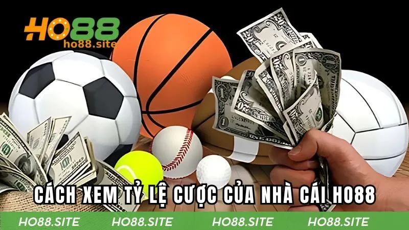 Cách xem tỷ lệ cược của nhà cái HO88