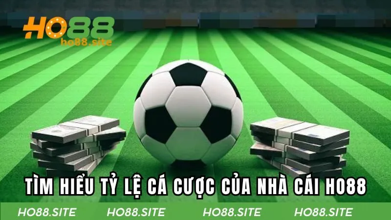Tìm hiểu tỷ lệ cá cược của nhà cái HO88